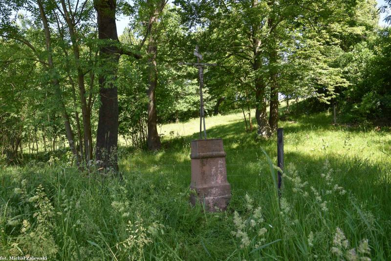 Plik:Wojciechów 6.jpg