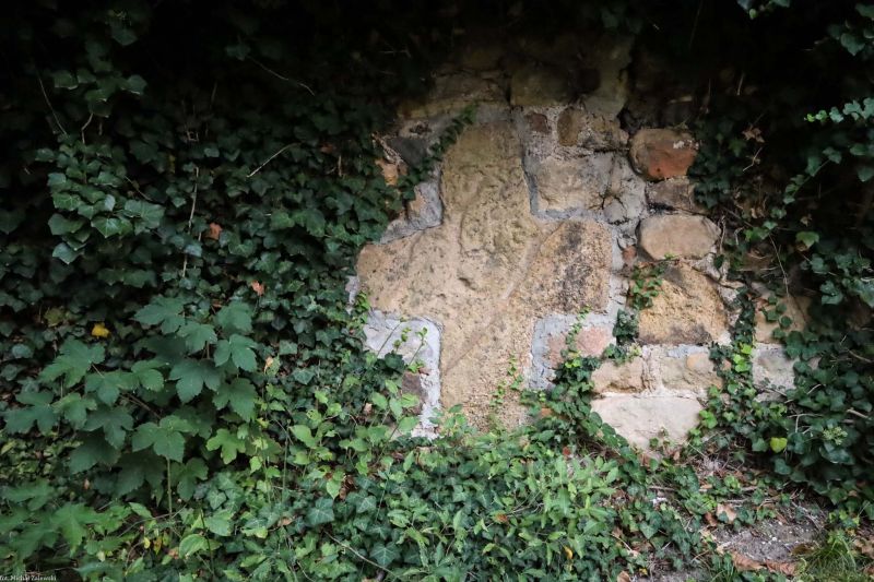 Plik:Rokitnica k. kamienny.jpg