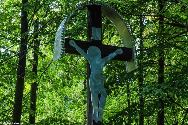 Plik:Bodaki Pstrążne a.jpg