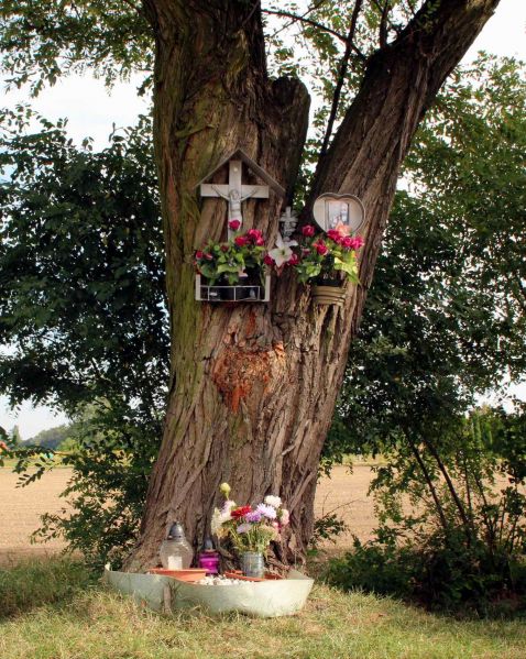 Plik:Jaszkotle kapliczka na drzewie.jpeg