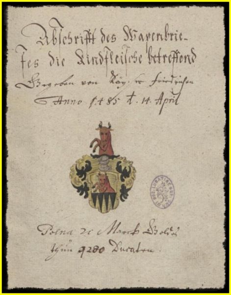 Plik:Rindfleisch Wappenbrief.jpg