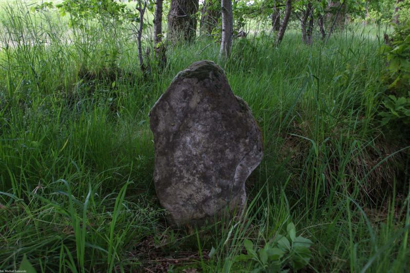 Plik:Pątnów Legnicki 4.jpg