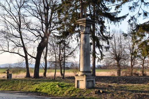 Kolumna morowa; Prusy, pow. strzeliński