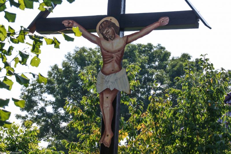 Plik:Stary Wiązów 3.jpg