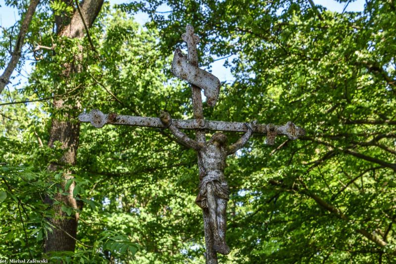 Plik:Wojciechów 6a.jpg