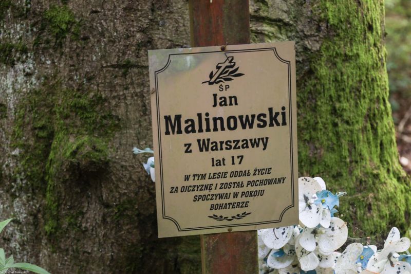 Plik:Wójcice inskrypcja.jpg