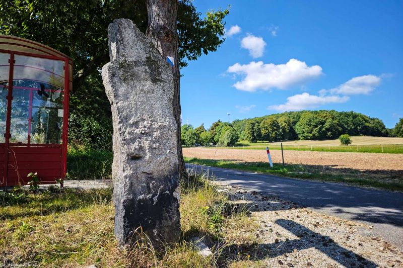 Plik:Nowe Rochowice.jpg