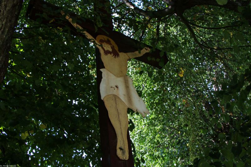 Plik:Stare Rochowice.jpg