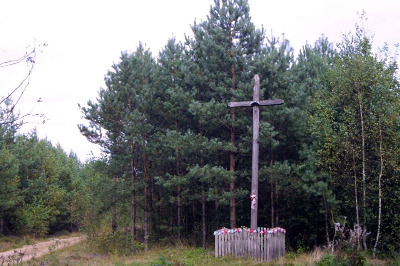 Plik:Wyk, wysoki krzyż drewniany.jpeg