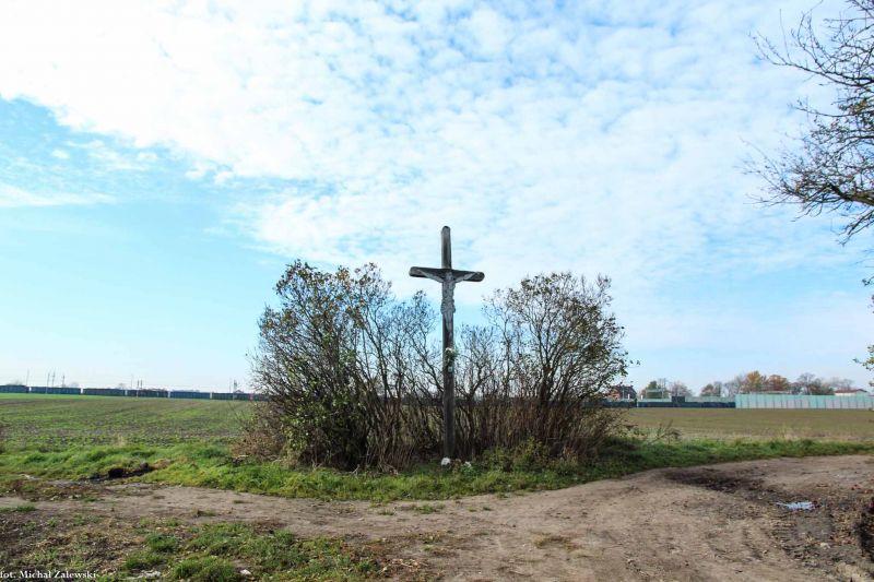 Plik:Siechnice 2013 d.jpg