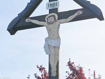 Opole Czarnowąsy (fot. 2025)