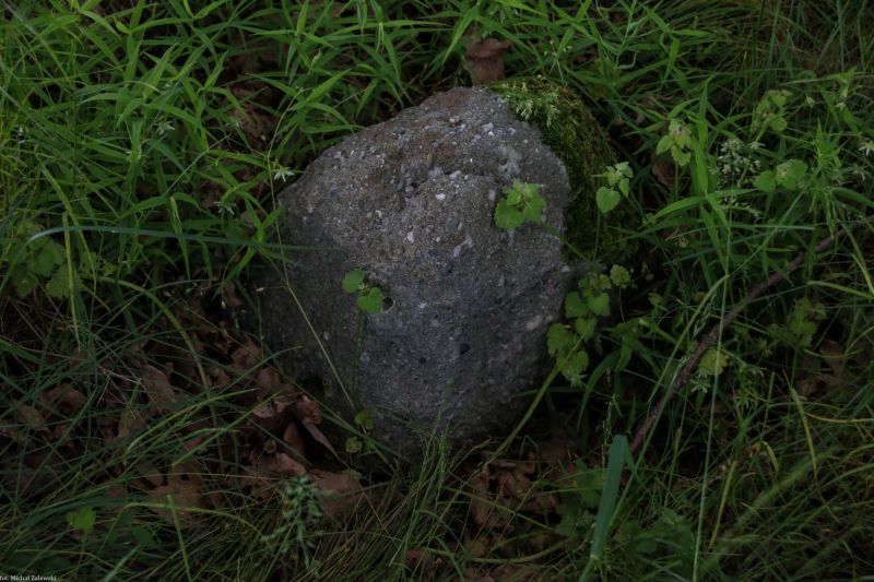 Plik:Pątnów Legnicki 2.jpg