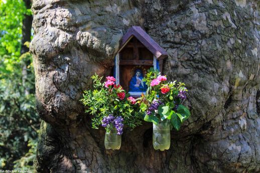 Wrocław Stare Miasto; kapliczka skrzynkowa w Parku Słowackiego