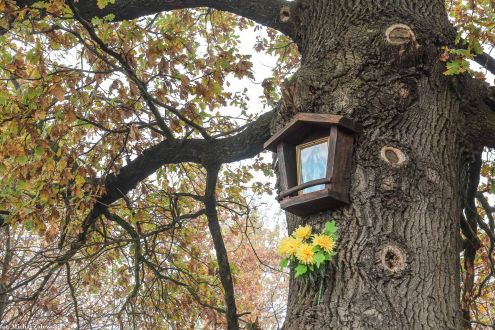 Skrzynkowa kapliczka nadrzewna na Strachowicach we Wrocławiu