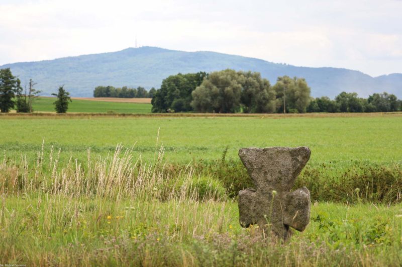 Plik:Gola Świdnicka k. monolitowy.jpg