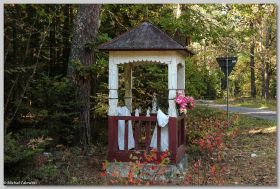 Przydrożna kapliczka brogowa w Lasach Janowskich