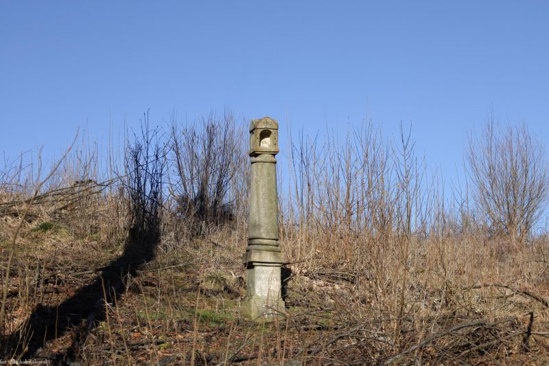 Plik:Wieszkowice 1708.jpg