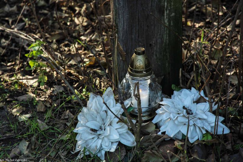 Plik:Siechnice 2013.jpg