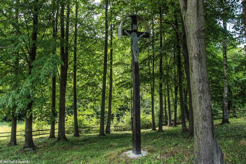 Plik:Bodaki Pstrążne.jpg