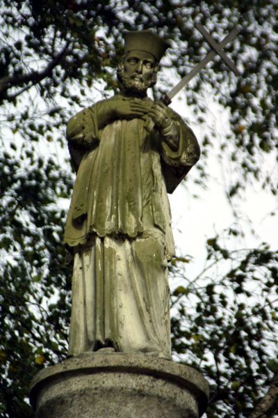 Plik:Mała komorza nepomucen.jpeg