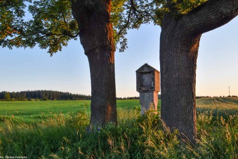 Kapliczka pokutna w Wojciechowie