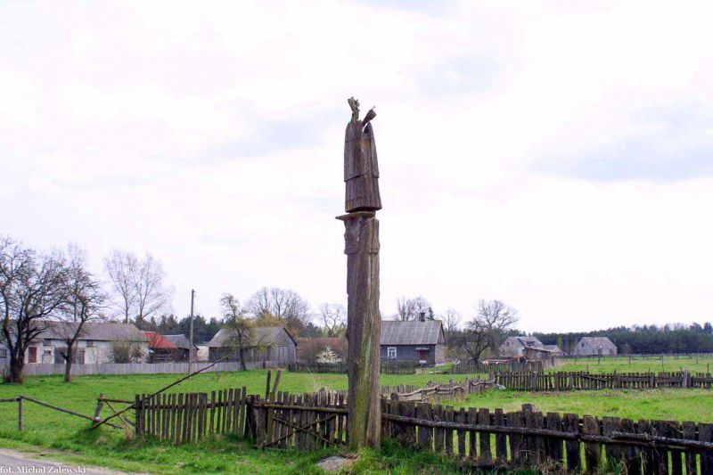 Plik:Cierpięta nepomuk.jpeg