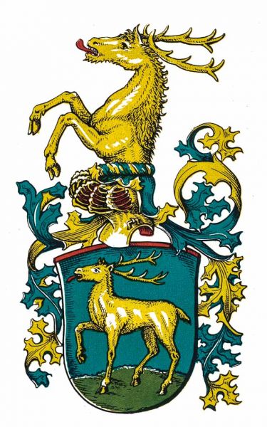 Plik:Pachaly, Stein.jpg