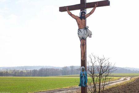 Krzanowice, raciborski