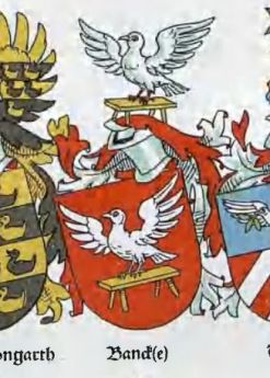 Banke (Schellenberg 1938, tab. 21/15)