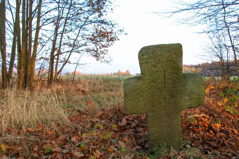 Plik:Skorzynice 2.jpg