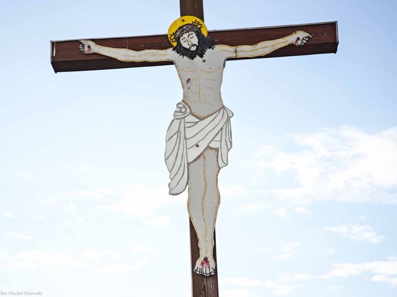 Plik:Prężynka 2.jpg