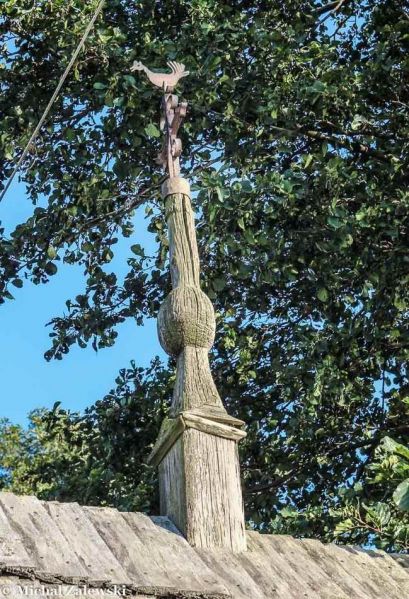 Plik:Bieliny pazdur.jpg