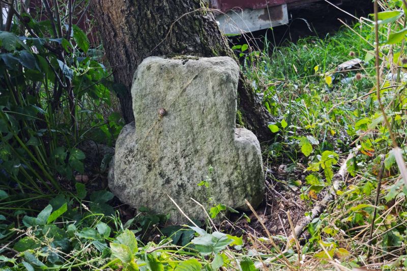 Plik:Wojciechów k. kamienny 1.jpg